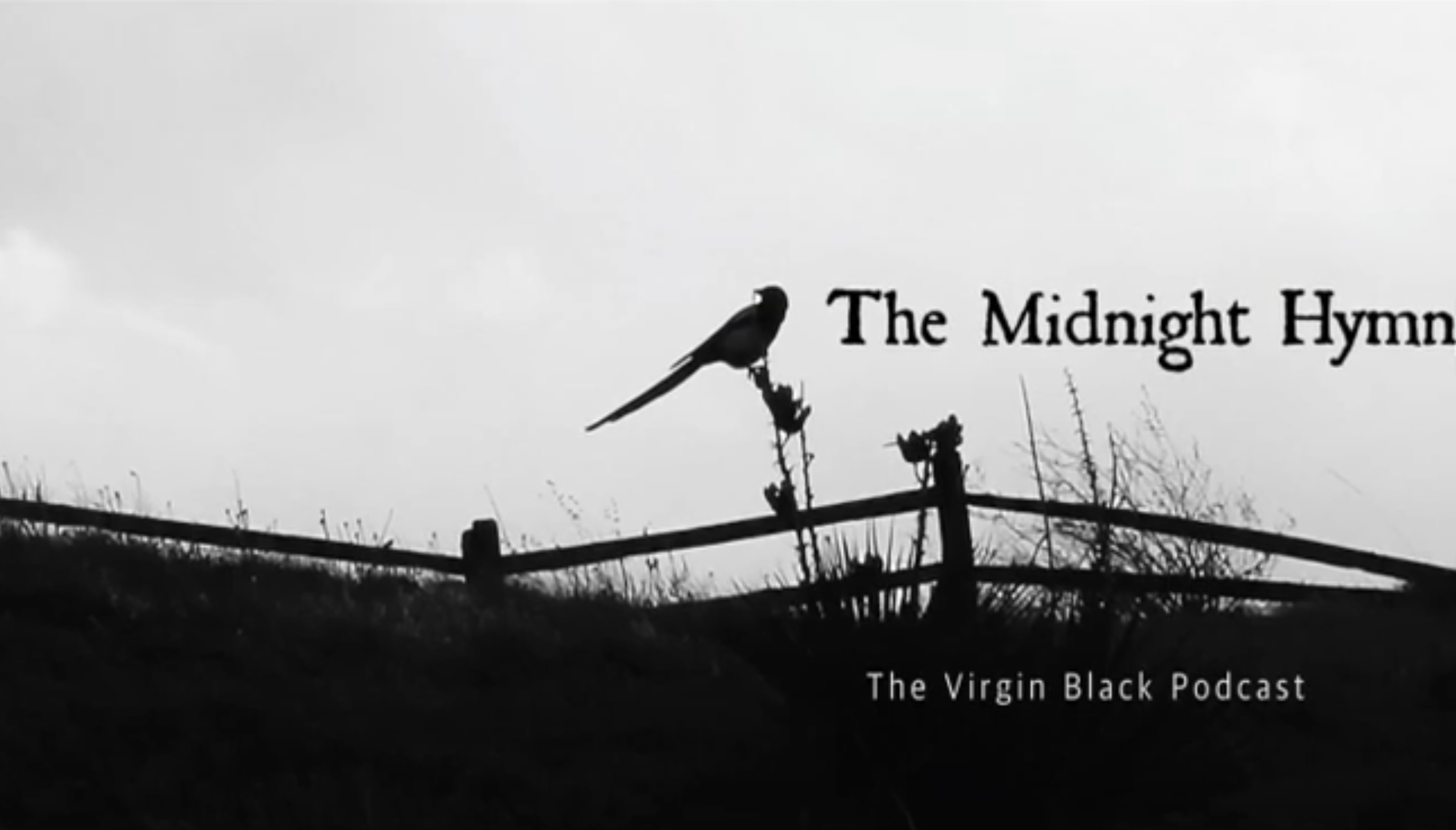 The Midnight Hymn Podcast – Virgin Black
